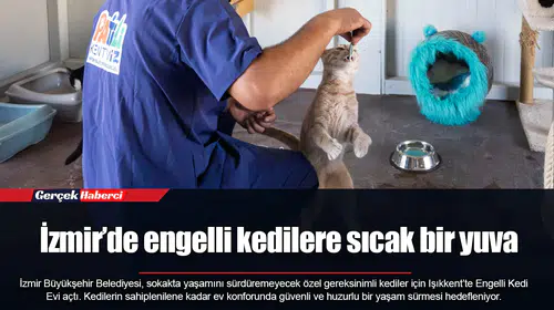 İzmir’de engelli kedilere sıcak bir yuva
