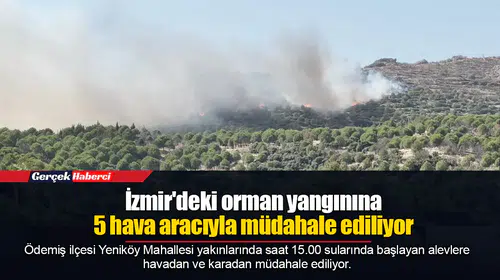 İzmir'deki orman yangınına 5 hava aracıyla müdahale ediliyor