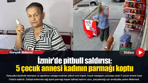 İzmir'de pitbull saldırısı: 5 çocuk annesi kadının parmağı koptu