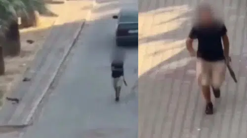 Buca'da pompalı tüfekle rastgele ateş eden şüpheli Torbalı'da yakalandı