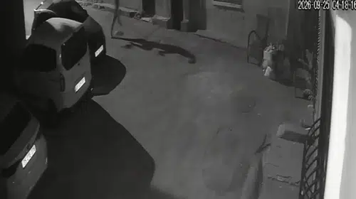 İzmir Konak'ta bir kişinin köpeğine tekme atıp sürüklediği anlar kamerada