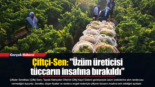 Çiftçi-Sen: "Üzüm üreticisi tüccarın insafına bırakıldı"