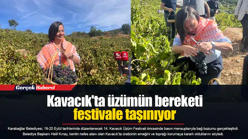 Kavacık'ta üzümün bereketi festivale taşınıyor