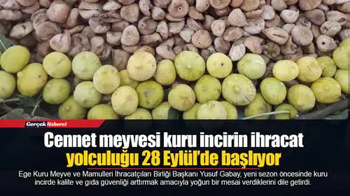 Cennet meyvesi kuru incirin ihracat yolculuğu 28 Eylül’de başlıyor