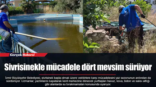 Sivrisinekle mücadele dört mevsim sürüyor