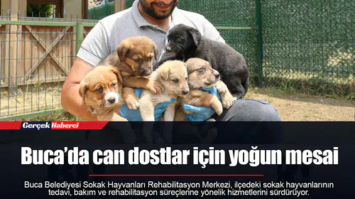 Buca’da can dostlar için yoğun mesai