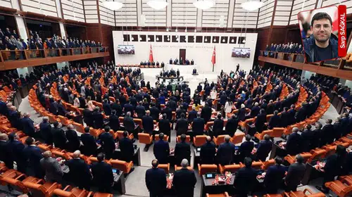 AK Parti'li Güneş'ten Meclis kedilerine tepki: Alerji ve hijyen tehdidi