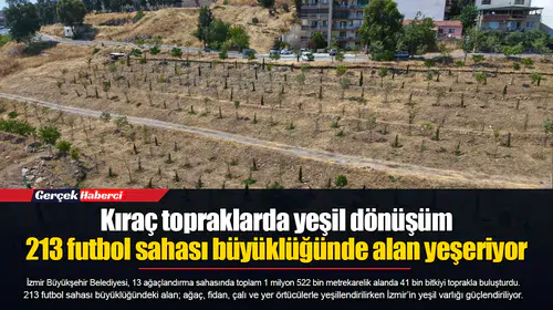 Kıraç topraklarda yeşil dönüşüm... 213 futbol sahası büyüklüğünde alan yeşeriyor