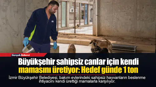 Büyükşehir sahipsiz canlar için kendi mamasını üretiyor: Hedef günde 1 ton