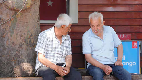 2008 öncesi emeklilerin maaşları için gösterge sistemi teklifi