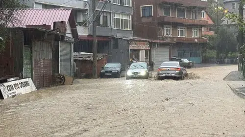 Zonguldak ve Sakarya'da sağanak: Heyelanda 2 köpek öldü, işçi yaşamını yitirdi