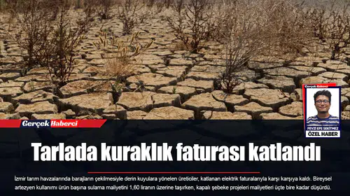 Tarlada kuraklık faturası katlandı
