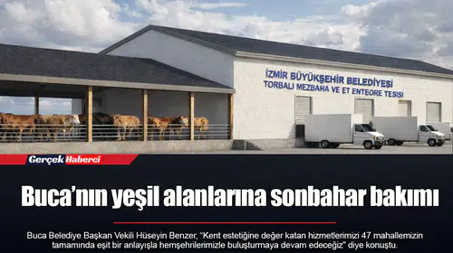 Buca’nın yeşil alanlarına sonbahar bakımı
