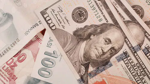 Dolar/TL tarihi zirveyi yeniledi, Euro yükselişini sürdürdü