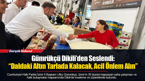 Gümrükçü Dikili’den Seslendi: “Daldaki Altın Tarlada Kalacak, Acil Önlem Alın”