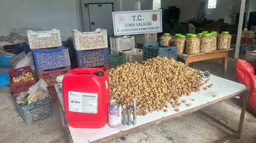 Ödemiş'te lavabo açıcıyla beyazlatılan 3 ton incir ele geçirildi