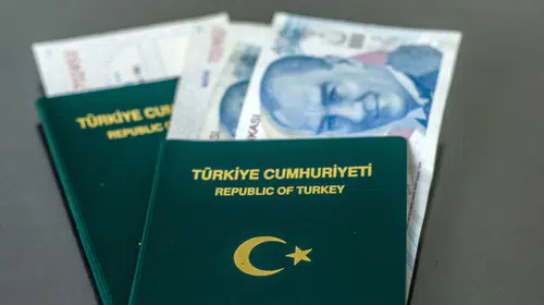 Hekim, diş hekimi, veteriner ve eczacılara yeşil pasaport teklifi Meclis'te