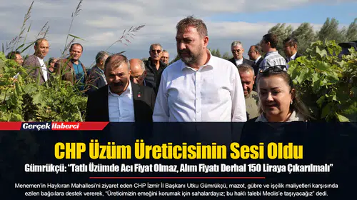 Gümrükçü: “Tatlı Üzümde Acı Fiyat Olmaz, Alım Fiyatı Derhal 150 Liraya Çıkarılmalı”