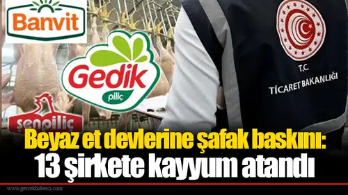 Beyaz et devlerine şafak baskını: 13 şirkete kayyum atandı