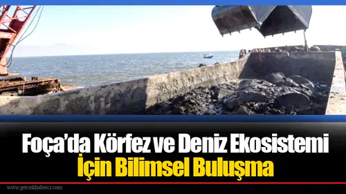 Foça’da Körfez ve Deniz Ekosistemi İçin Bilimsel Buluşma