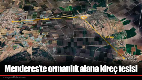 Menderes’te ormanlık alana kireç tesisi