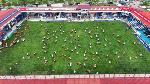 Manisa’da Güreş Heyecanı Başladı: Yuntdağı Er Meydanı Pehlivanları Ağırlıyor