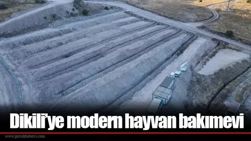 Dikili’ye modern hayvan bakımevi