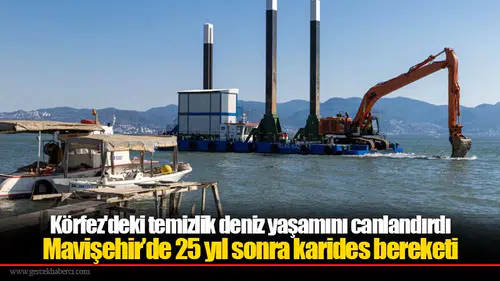 Körfez'deki temizlik deniz yaşamını canlandırdı