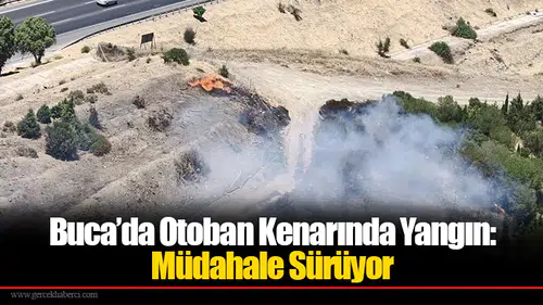 Buca’da Otoban Kenarında Yangın: Müdahale Sürüyor