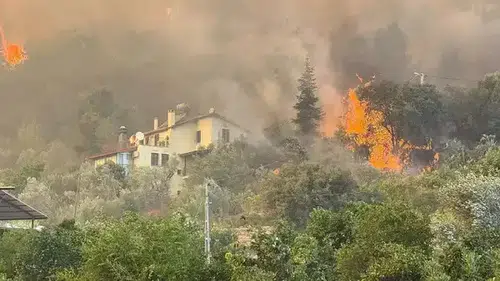 Muğla Fethiye'de orman yangını evlere ulaştı ve tahliye işlemi başladı