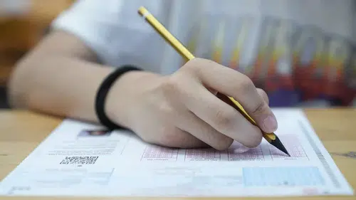 LGS merkezi sınav sonuçları erişime açıldı