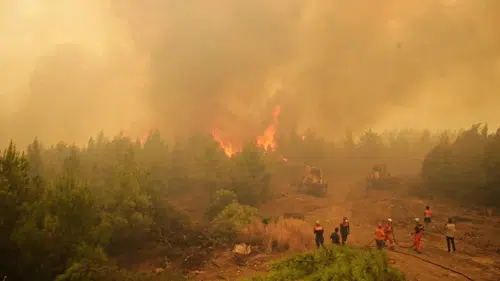 Muğla'daki yangın nedeniyle bir hastane ve 121 ev boşaltıldı