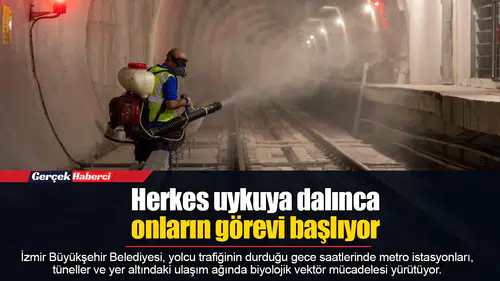 Herkes uykuya dalınca onların görevi başlıyor