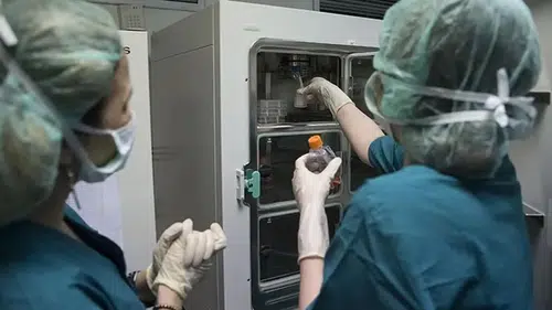 Skandallar peş peşe patladı: Çocuk 13 yaşına gelince gerçek ortaya çıktı