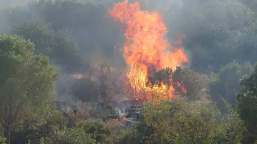 Antalya'da İki İlçedeki Orman Yangınları 1,5 Saatte Kontrol Altına Alındı