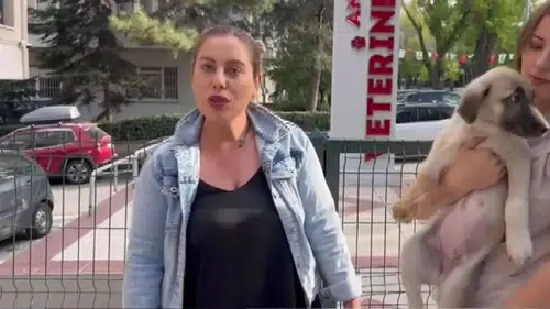 Hayvanları Koruma Derneği Başkanı Gülay Akgün Mutlu'nun katil zanlısı Kırıkkale'de gözaltına alındı