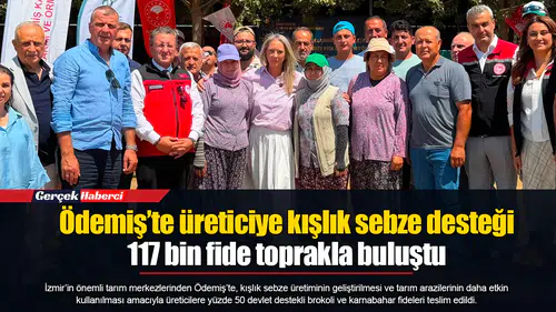 Ödemiş’te üreticiye kışlık sebze desteği:  117 bin fide toprakla buluştu