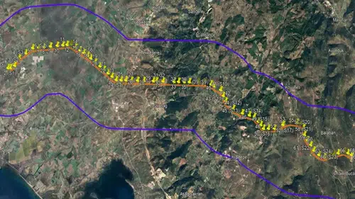 27 Bin 305 Ağaç Kesilecek: TEİAŞ'ın Dikili-Bergama Hattıyla İlgili ÇED Raporundaki Orman Detayları