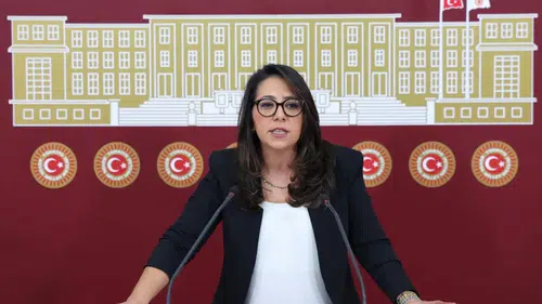 Sera Kadıgil'e "Cumhurbaşkanına hakaret" ve "tehdit" iddiasıyla soruşturma