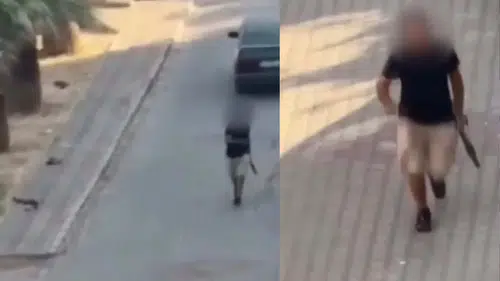 Buca'da pompalı tüfekle rastgele ateş eden şüpheli Torbalı'da yakalandı