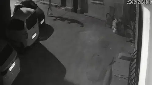 İzmir Konak'ta bir kişinin köpeğine tekme atıp sürüklediği anlar kamerada