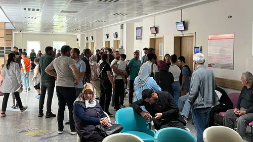 Pala: Sağlık sisteminde başvuru sayısı İsveç'in dört katı