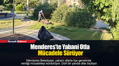 Menderes’te Yabani Otla Mücadele Sürüyor