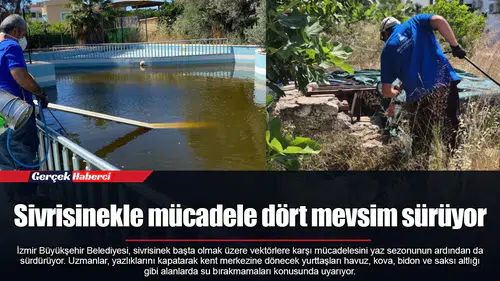 Sivrisinekle mücadele dört mevsim sürüyor