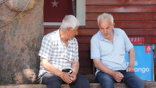 2008 öncesi emeklilerin maaşları için gösterge sistemi teklifi