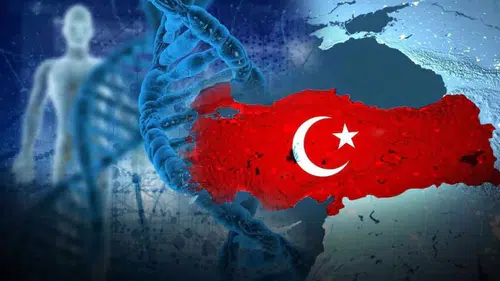 DNA araştırması: Türklere genetik olarak en yakın millet İtalyanlar