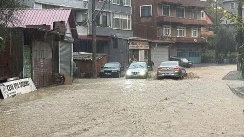 Zonguldak ve Sakarya'da sağanak: Heyelanda 2 köpek öldü, işçi yaşamını yitirdi