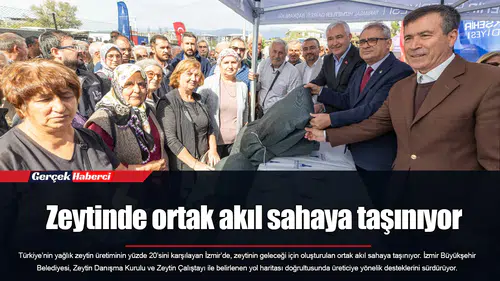 Zeytinde ortak akıl sahaya taşınıyor