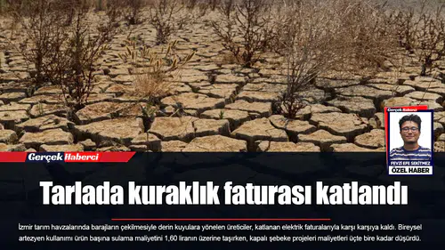Tarlada kuraklık faturası katlandı