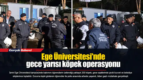 Ege Üniversitesi'nde gece yarısı köpek operasyonu